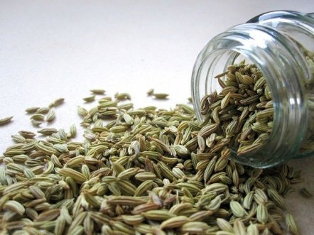 gallery/fennel-2617_640
